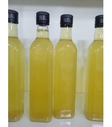 Işgın Sirkesi Işgın Sirkesi